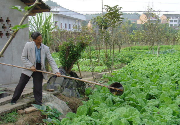 German State of Hesse buys Gold Standard CERs from UPM’s Sichuan Household Biogas PoA to offset GHG emissions from 2019 business travels