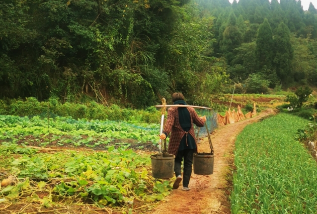 Erfolgreiche Ausschüttung von GS VERs des Jahrgangs 2021 aus dem Sichuan Household Biogas PoA der UPM