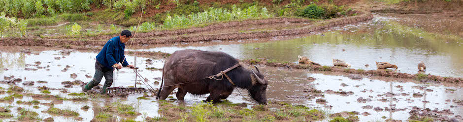 UPM has first large sale of Sichuan Household Biogas CCERs in China’s carbon offset market